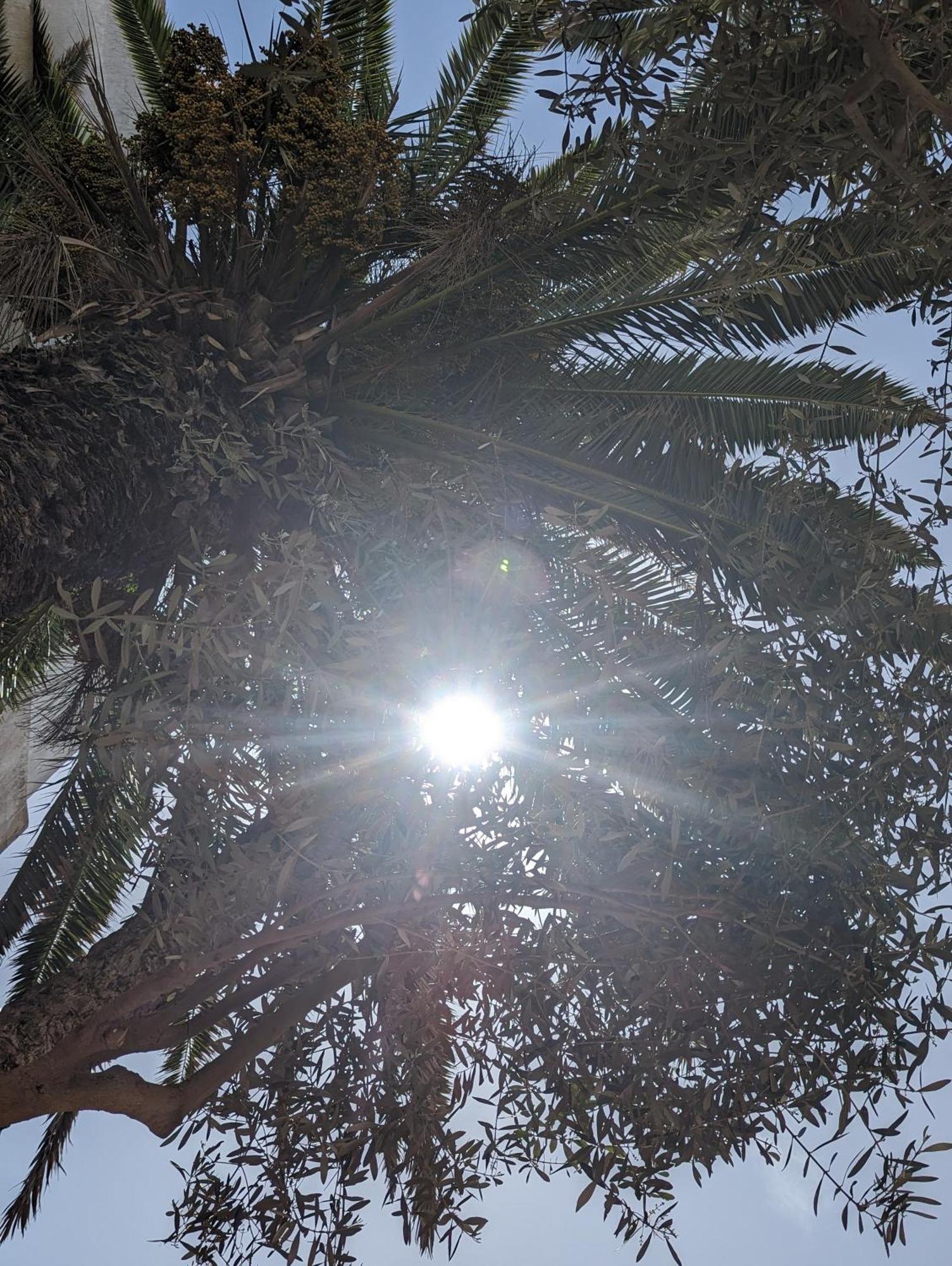 Aghata Palms Riad Essaouira Luaran gambar